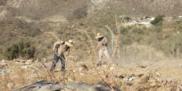 SERVICIOS PÚBLICOS ATIENDE REPORTES CIUDADANOS ANTE BASUREROS CLANDESTINOS EN COL. VISTA HERMOSA PLUS