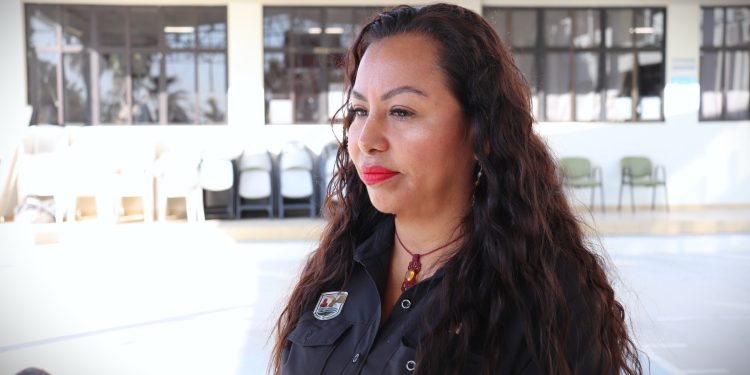 PIDEN EN LOS CABOS EVITAR TOCAR A EJEMPLARES DE BALLENA GRIS