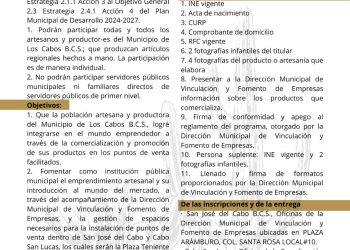 PIDEN EN LOS CABOS EVITAR TOCAR A EJEMPLARES DE BALLENA GRIS