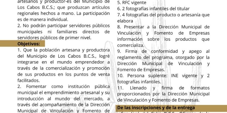 PIDEN EN LOS CABOS EVITAR TOCAR A EJEMPLARES DE BALLENA GRIS