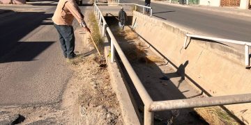 REALIZAN LABORES DE ASEO Y RETIRO DE RESIDUOS EN COLONIA COLINAS PLUS EN SAN JOSE DEL CABO