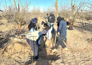 CON TRABAJO COORDINADO ENTRE LOS TRES ORDENES DE GOBIERNO, COLECTIVO Y FAMILIARES , LOCALIZAN INHUMACIONES CLANDESTINAS EN LA PAZ