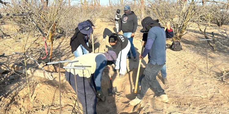 CON TRABAJO COORDINADO ENTRE LOS TRES ORDENES DE GOBIERNO, COLECTIVO Y FAMILIARES , LOCALIZAN INHUMACIONES CLANDESTINAS EN LA PAZ