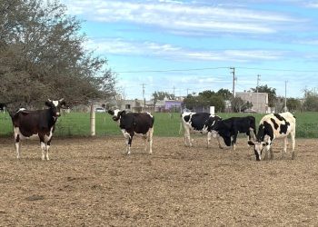 LA POLICÍA ESTATAL PREVENTIVA OBTIENE POR SEGUNDO AÑO LA ACREDITACIÓN CALEA