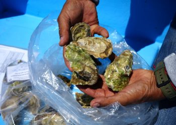 DISPONIBLE EN LOS MUNICIPIOS EL MATERIAL DE CONSULTA DE ORDENAMIENTO ECOLÓGICO REGIONAL DE BCS