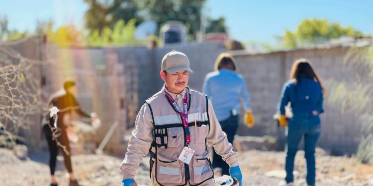 CONCLUYE LA MUESTRA DE TRABAJOS DEL PECDA Y PACMYC 2024: ISC