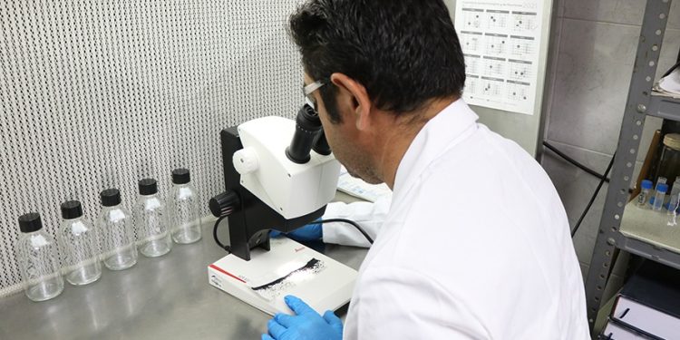 IMPULSAN LA PROFESIONALIZACIÓN DE SERVIDORES PÚBLICOS EN DISCIPLINA FINANCIERA