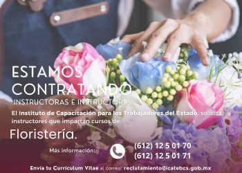 LAS MUJERES SON UN PILAR FUNDAMENTAL EN  EL AVANCE SOCIOPOLÍTICO Y CULTURAL DE BCS