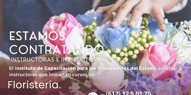 LAS MUJERES SON UN PILAR FUNDAMENTAL EN  EL AVANCE SOCIOPOLÍTICO Y CULTURAL DE BCS