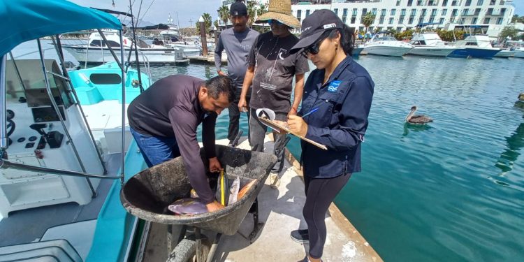 CONVOCAN A PERSONAL DE LA SSA A REALIZAR EL PROCESO DE SU DECLARACIÓN PATRIMONIAL