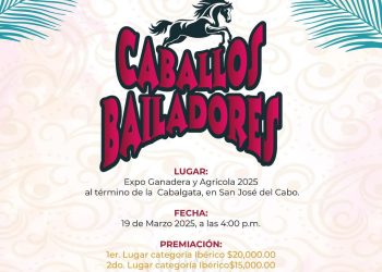 INVITA AYUNTAMIENTO DE LOS CABOS AL CONCURSO Y EXHIBICIÓN “CABALLOS BAILADORES”