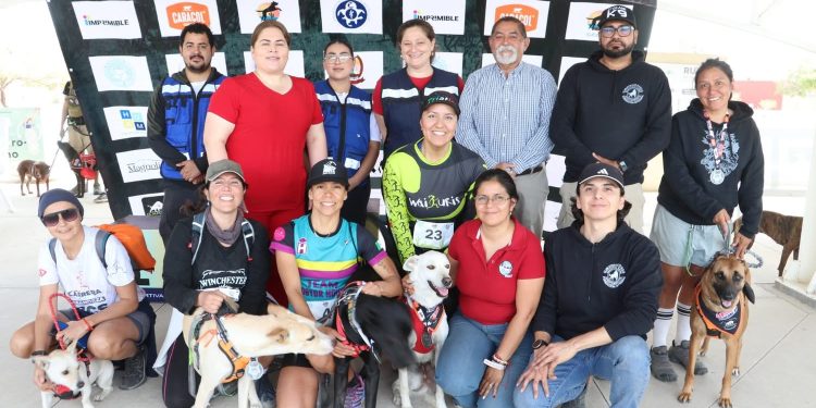GRAN ÉXITO DE LA CARRERA-PASEO “CANICROSS ETOCANE K-9, BCS” EN LA UABCS