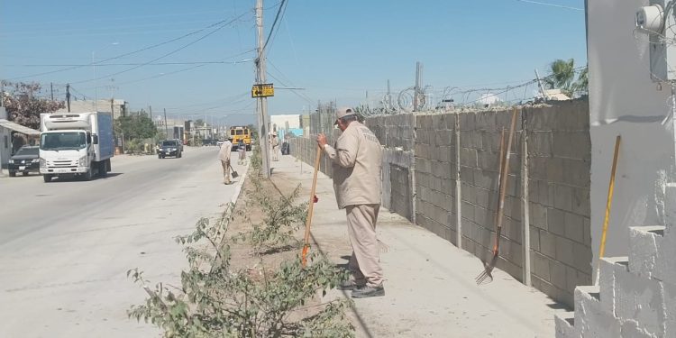 CONTINÚAN OPERATIVOS CONTRA PUBLICIDAD INVASIVA EN VÍA PÚBLICA DE LOS CABOS