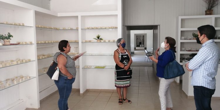 AUTONOMÍA ECONÓMICA DE LAS MUJERES EN EL  MARCO DEL DÍA INTERNACIONAL DE LA MUJER