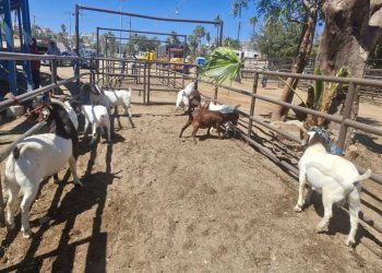 CONFIRMAN CONSTRUCCIÓN DE DOS NUEVAS ESTÁCIONES DE BOMBEROS EN LOS CABOS