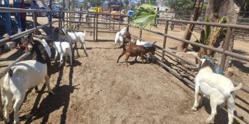 CONFIRMAN CONSTRUCCIÓN DE DOS NUEVAS ESTÁCIONES DE BOMBEROS EN LOS CABOS