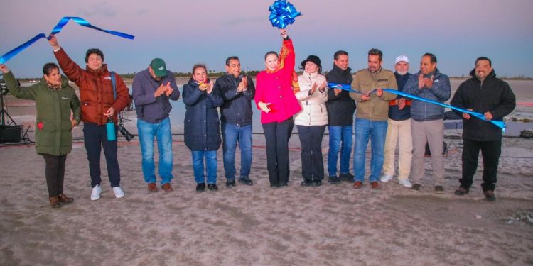 CONCLUYE CON ÉXITO EL FESTIVAL DE LA BALLENA GRIS 2025: NACIMIENTO DE GIGANTES EN GUERRERO NEGRO