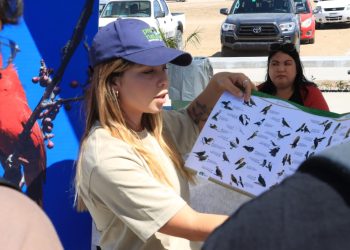 UABCS INVITA AL SEGUNDO FESTIVAL DE LAS AVES PLAYERAS