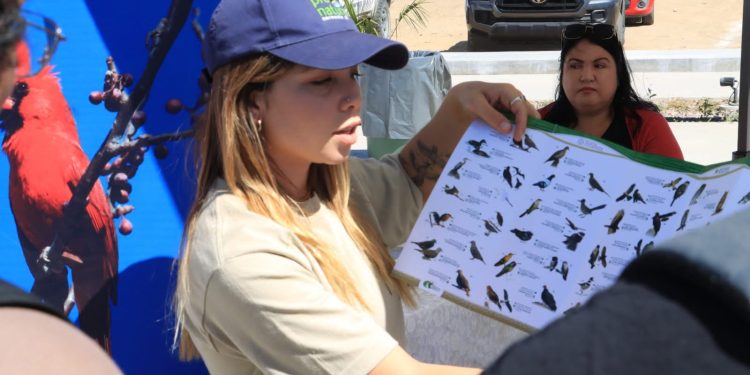 UABCS INVITA AL SEGUNDO FESTIVAL DE LAS AVES PLAYERAS