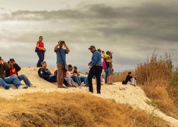 UABCS CONTRIBUYE AL RECONOCIMIENTO  DE LOS CABOS COMO “BIRD CITY”