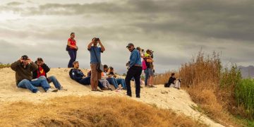 UABCS CONTRIBUYE AL RECONOCIMIENTO  DE LOS CABOS COMO “BIRD CITY”
