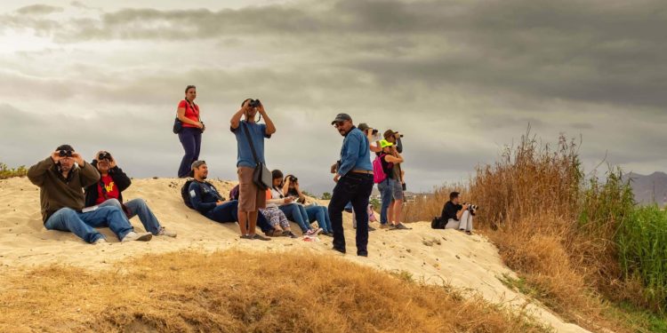 UABCS CONTRIBUYE AL RECONOCIMIENTO DE LOS CABOS COMO “BIRD CITY”