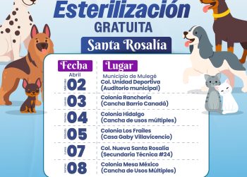 AYUNTAMIENTO DE MULEGÉ CONVOCA A CAMPAÑA DE ESTERILIZACIÓN EN SANTA ROSALÍA