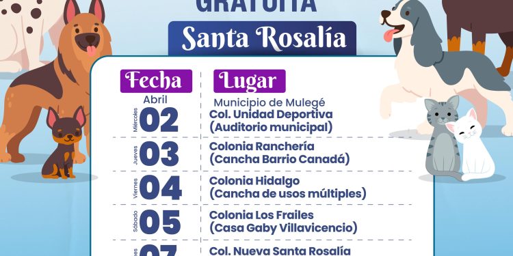 AYUNTAMIENTO DE MULEGÉ CONVOCA A CAMPAÑA DE ESTERILIZACIÓN EN SANTA ROSALÍA