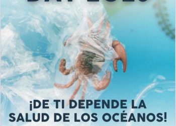 INVITAN A SUMARSE A JORNADA DE LIMPIEZA DE ARROYOS EN LOS CABOS