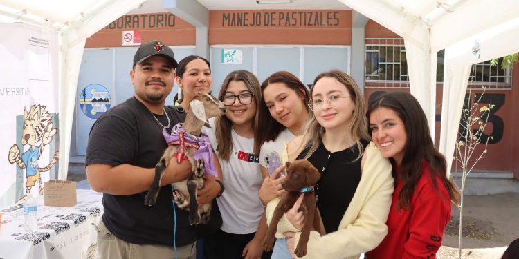 UABCS PROMUEVE LA ADOPCIÓN RESPONSABLE DE  PERROS Y GATOS CON FERIA DE SENSIBILIZACIÓN