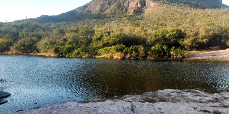 SUPERVISA SSPE A EMPRESAS DE SEGURIDAD PRIVADA DE LA PAZ Y LOS CABOS