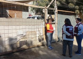 HABILITAN PLATAFORMA DIGITAL PARA CONTROL ESCOLAR EN ESCUELAS FORMADORAS