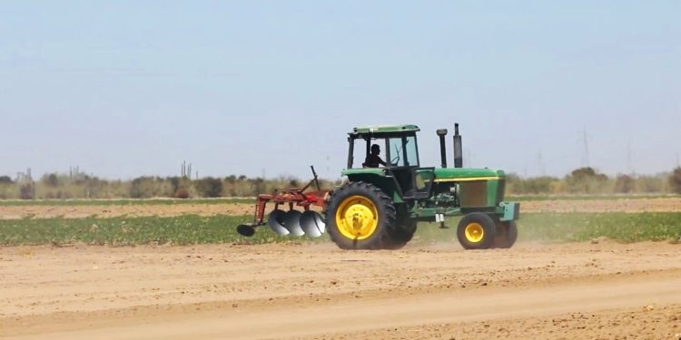 FONDO SOCIAL PARA EL DESARROLLO DE BCS UN ALIADO DE LA ECONOMÍA SUSTENTABLE