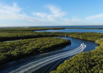 INICIA GAB SESIONES DE EDUCACIÓN INICIAL EN EL PEDREGAL DEL CORTÉS