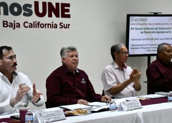 AMPLÍA HERRAMIENTA DIGITAL T-ASISTE SERVICIOS  DE ATENCIÓN A PADRES DE NIÑOS CON AUTISMO