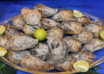 EL GOBERNADOR VÍCTOR CASTRO CONVOCA A FORTALECER ESTRATEGIAS PARA MANTENER EL LIDERAZGO LABORAL EN EL PAÍS