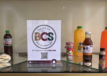 BCS SEGUNDO LUGAR NACIONAL EN COMPETITIVIDAD  LABORAL, MENOR DESEMPLEO E INFORMALIDAD