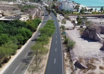 LLAMAN A SEGUIR COMPORTAMIENTOS PREVENTIVOS PARA EVITAR ACCIDENTES CON ANIMALES PONZOÑOSOS