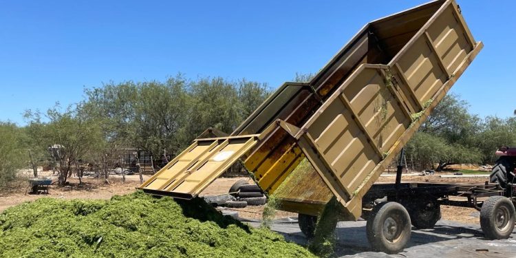 REFORZARÁN TRES ORDENES DE GOBIERNO LIMPIEZA DE ARROYOS EN LOS CABOS :SPC