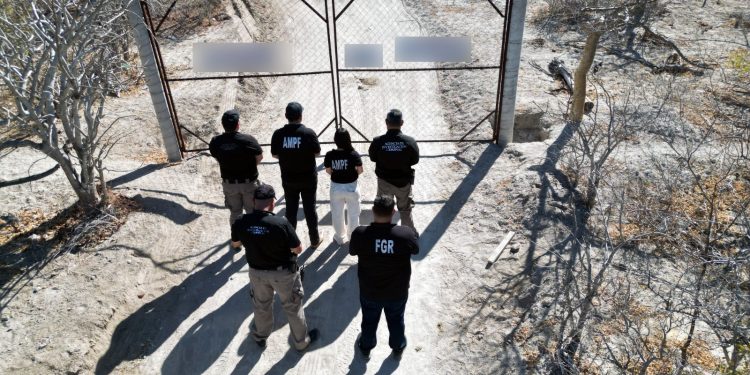 EN CATEO FGR ASEGURA HIDROCARBURO Y CARTUCHOS EN SAN JOSÉ DEL CABO, BAJA CALIFORNIA SUR