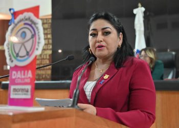 CONMINA LA DIPUTADA DALIA COLLINS A AUTORIDADES A PARTICIPAR EN LA CREACIÓN DE LA LEY PARA PERSONAS CON ESPECTRO AUTISTA   