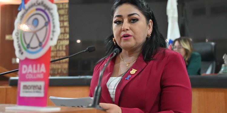 CONMINA LA DIPUTADA DALIA COLLINS A AUTORIDADES A PARTICIPAR EN LA CREACIÓN DE LA LEY PARA PERSONAS CON ESPECTRO AUTISTA   