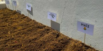 INICIA IMAIA CREACIÓN DE HUERTOS COMUNITARIOS EN SAN JOSÉ DEL CABO 