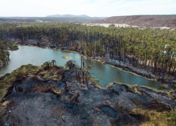 AYUNTAMIENTO DE MULEGÉ COORDINA ESFUERZOS PARA EL CONTROL DE INCENDIOS EN SAN IGNACIO