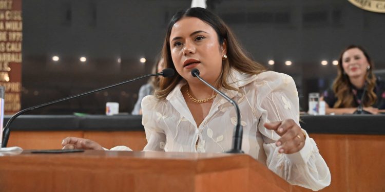 SOLICITAN AL IPDPR LA DONACIÓN DE DOS AERONAVES PARA TEMAS DE SALUD E INCENDIOS FORESTALES EN BCS