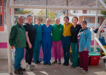 MULEGÉ ALCANZA HISTÓRICA CIFRA DE 1,622 ESTERILIZACIONES DE MASCOTAS EN TRES MESES