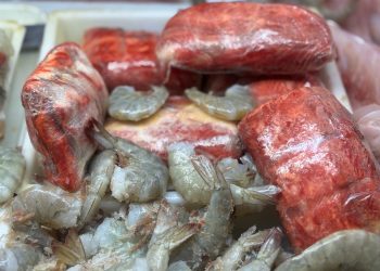 RECOMIENDA IMSS BCS CONSUMIR PESCADOSY MARISCOS FRESCOS