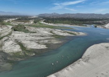 ARRANCÓ EN LOS CABOS LA PRIMERA SEMANA NACIONAL DE VACUNACIÓN 2025