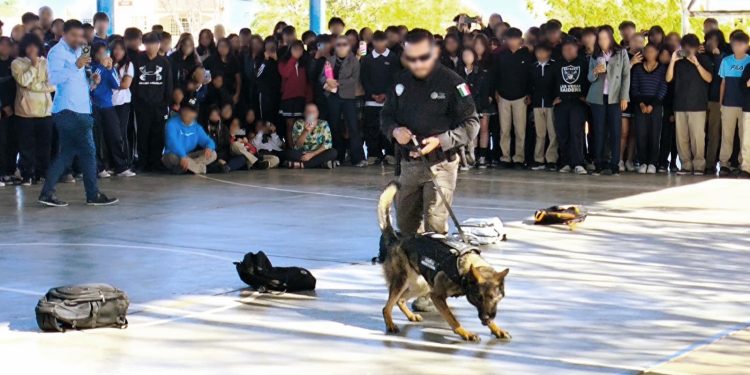 LLEVA FGR CAMPAÑA PREVENTIVA A ESCUELAS SECUNDARIAS DE BAJA CALIFORNIA SUR