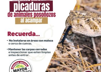 LLAMAN A SEGUIR COMPORTAMIENTOS PREVENTIVOS PARA EVITAR ACCIDENTES CON ANIMALES PONZOÑOSOS